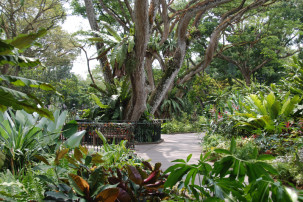 Foliage Garden in Singapur