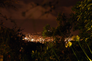 Wellington bei Nacht